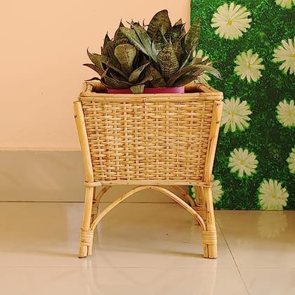 Handwoven Cane Planter Handwoven Cane Planter