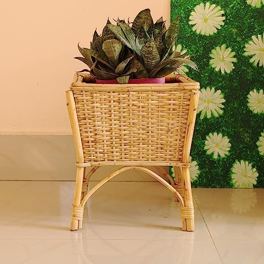 Handwoven Cane Planter