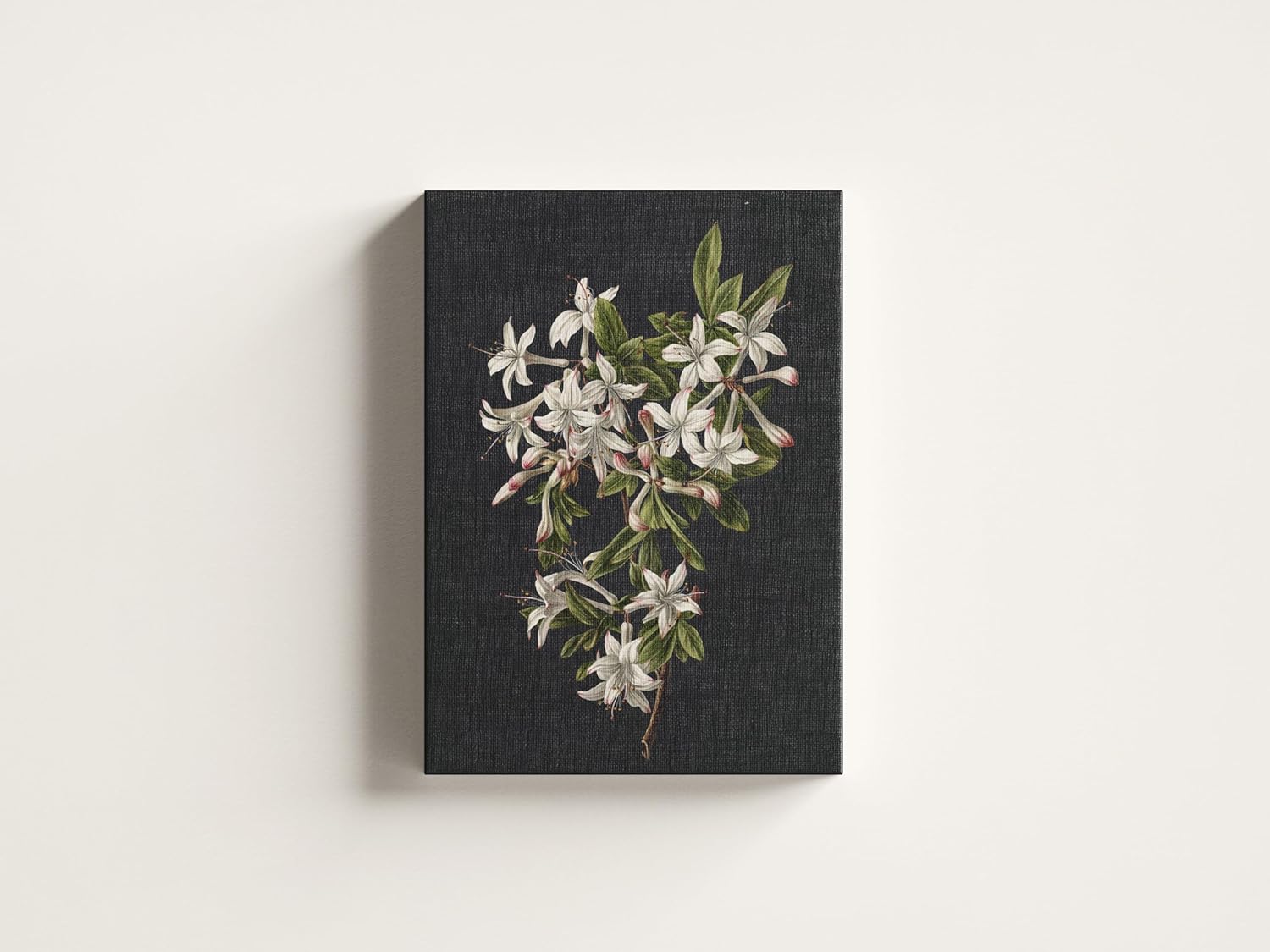 Furnishub Branch of Azaleas in Bloom by M de Gijselaar 1831 Wrapped Museum Finished Canvas Wall Decor Size 20 x 30 Inches