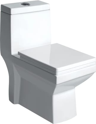 ALLEY EWC with Soft Close Seat Cover & Flushing Kit