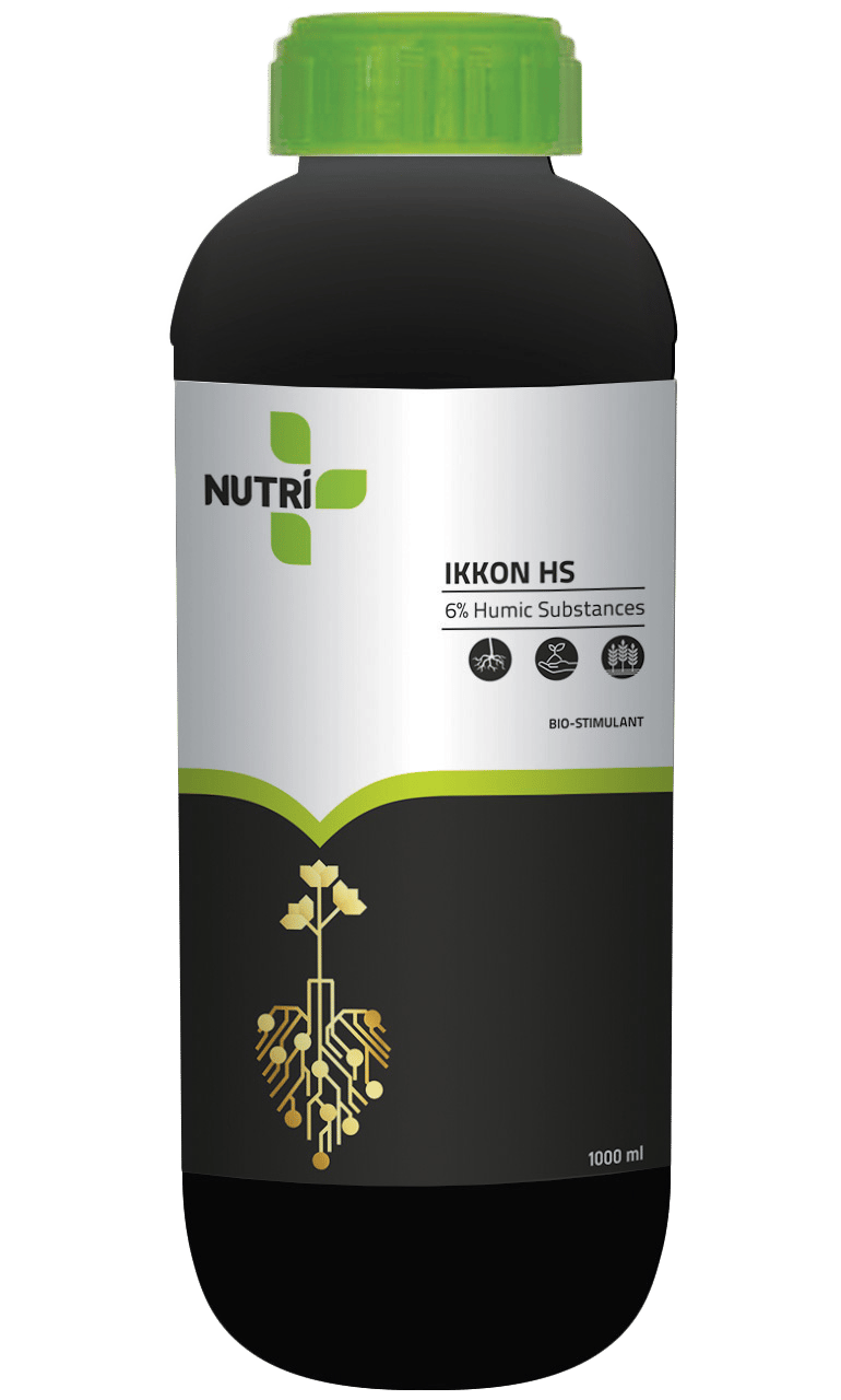 IKKON HS