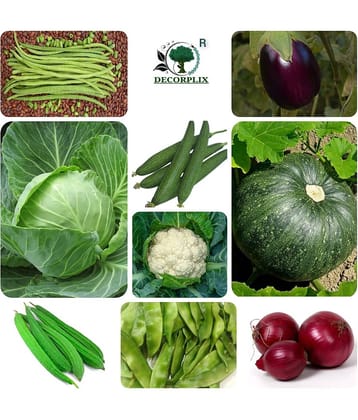 DECORPLIX Pumpkin Vegetable 9 Varieties ( 500 Seeds )