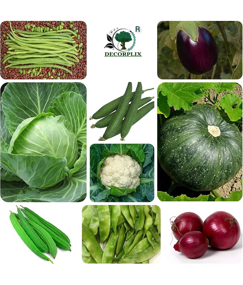 DECORPLIX Pumpkin Vegetable 9 Varieties ( 500 Seeds )