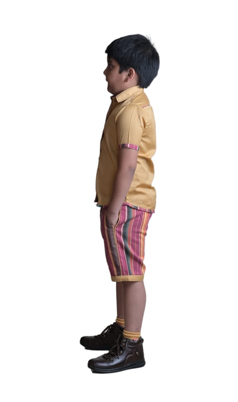 ... ...