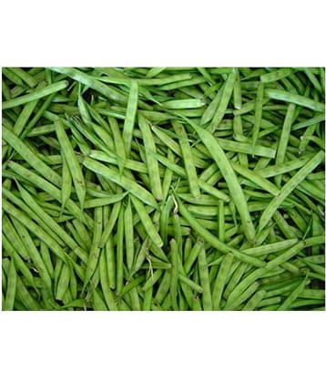 BS SEEDS luster Beans Organic F1 Hybrid Seeds 50 TO 100 SEEDS