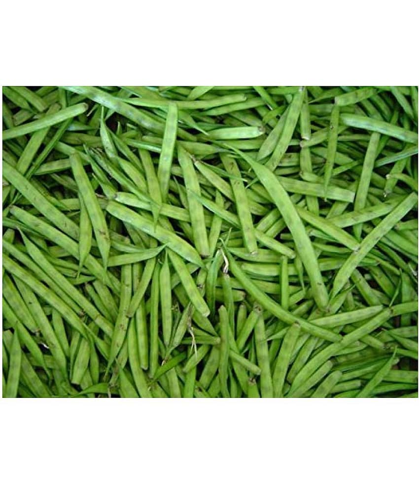 BS SEEDS luster Beans Organic F1 Hybrid Seeds 50 TO 100 SEEDS