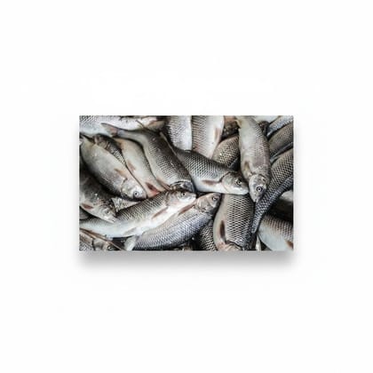 Fresh Raw Fish - 1 kg - 1kg pack of assorted fresh raw fish