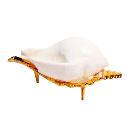 MAYAPURI Jal Shankha with Stand for Pooja, White Puja Conch Shells with Holding Stand