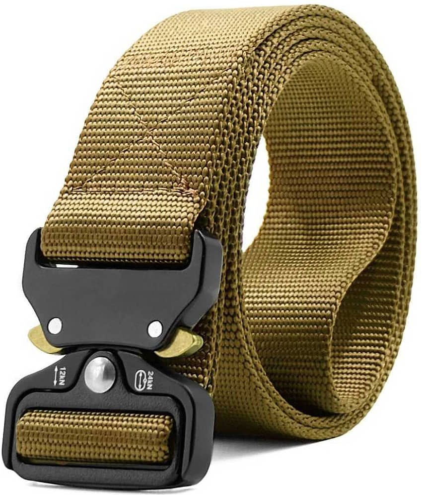 Loopa Beige Nylon Casual Belt Pack of 1