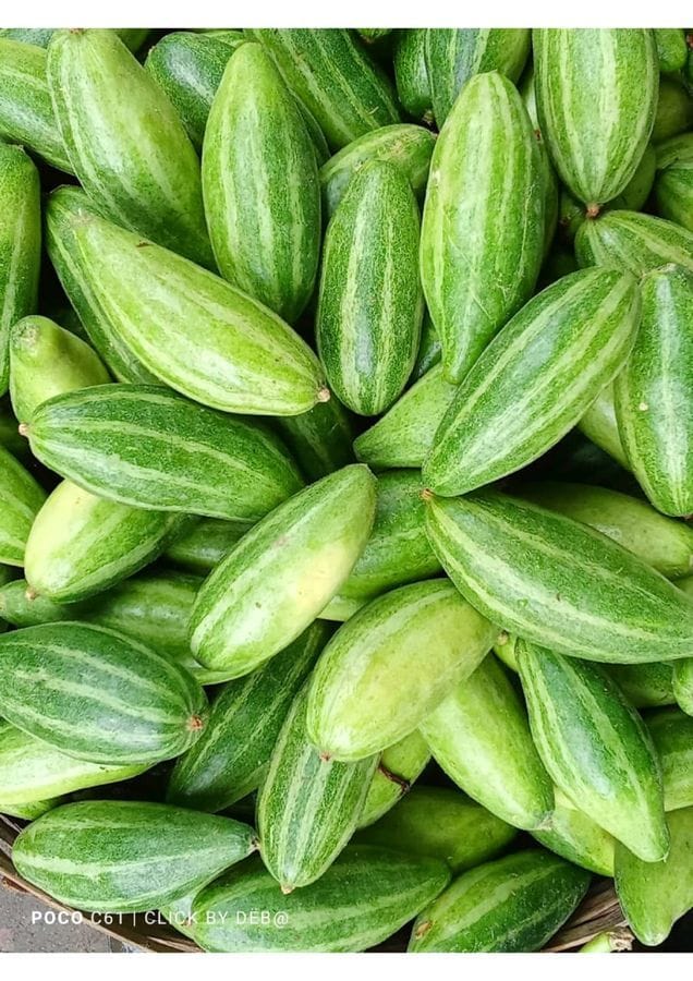 Pointed Gourd - 1 kg