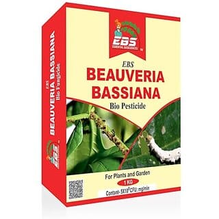 EBS Bio Beauveria Bassiana For Plants and Major Crops