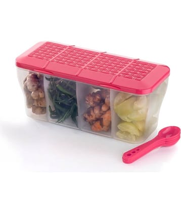OFFYX - Vegetable Container PET Pink Spice Container ( Set of 1 )