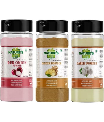 Natures Gift - 100 gm Ginger powder (Pack of 3)