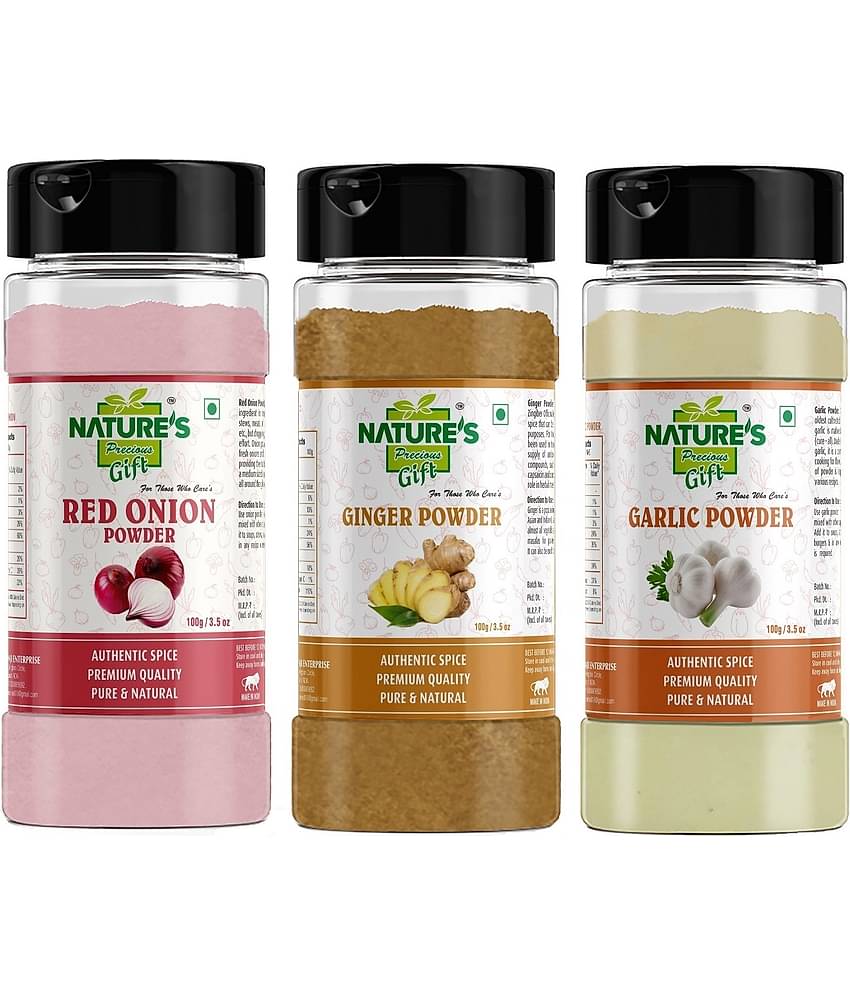 Natures Gift - 100 gm Ginger powder (Pack of 3)