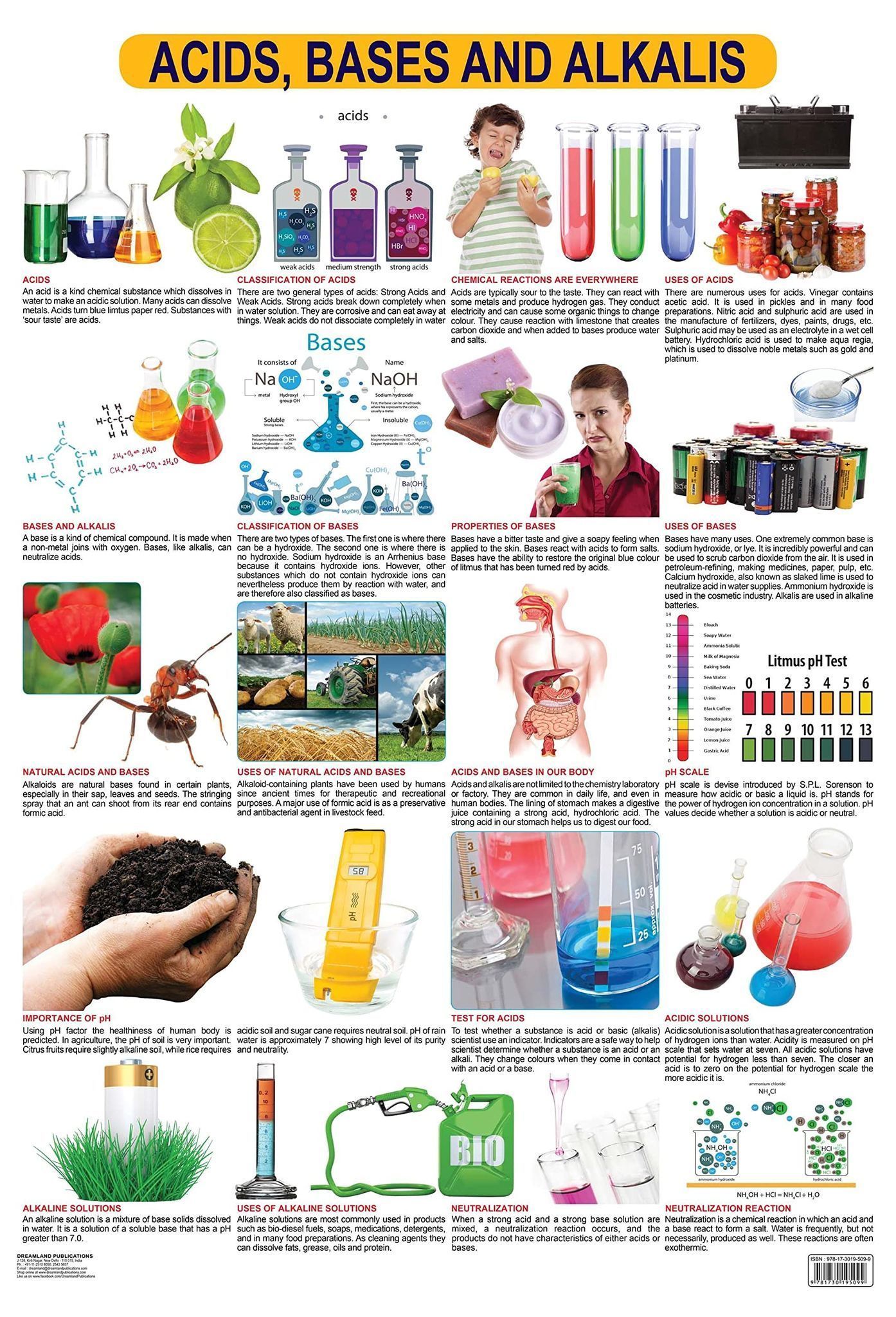 Acids, Bases & Alkalis Wall Chart (Science Chart) - Both Side Hard Laminated (Size 48 x 73 cm) [Poster] Dreamland Publications