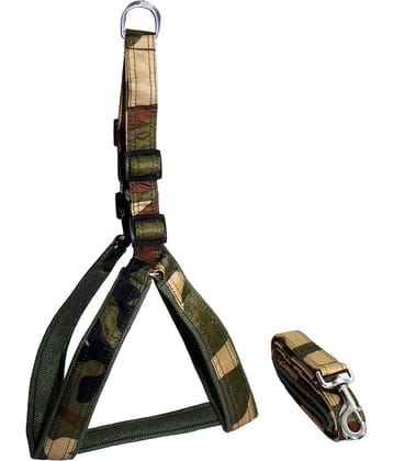 Petshop7 - Multicolor Dog Combo (Medium)