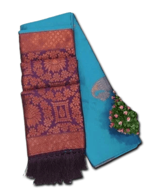 Elegant Embroidered Saree