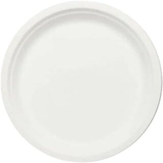 Sugarcane plates 11 inch Bagasse plain plate - 25 pcs