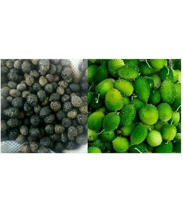 shivam organic seeds Kantola Seed (Teasle gourd) | Pack of 20 Seeds