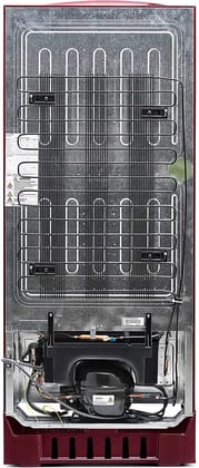 Lloyd 225 L 2 Star Direct Cool Single Door Refrigerator (GLDC242SGWS2PB, Gardenia Wine, With Base Stand) Lloyd 225 L 2 Star Direct Cool Single Door Refrigerator (GLDC242SGWS2PB, Gardenia Wine, With Base Stand) - Gardenia Wine / 225 L