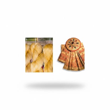 Assamese Muga Silk Saree with Japi