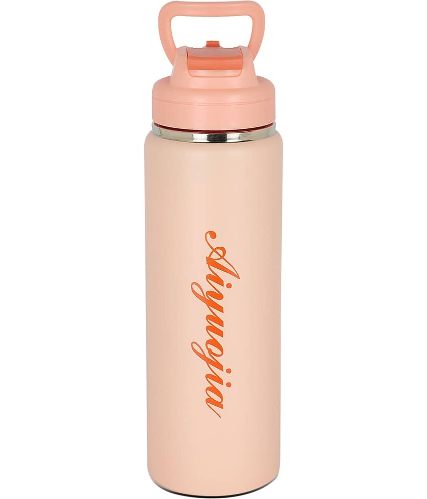 HomePro Hot Cold Thermosteel Pink Steel Flask ( 800 ml )