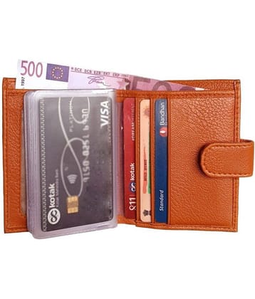 Wingers - PU Leather Unisex Travel Card Holder ( Pack of 1 )
