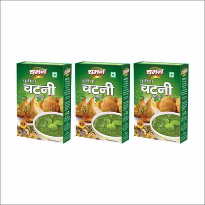Chaman Pudina Chutney Masala Mix, 100 gm - Pack of 3