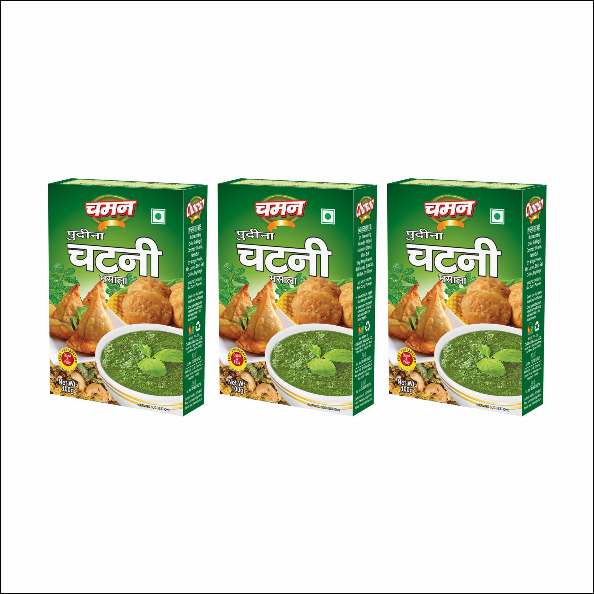 Chaman Pudina Chutney Masala Mix, 100 gm - Pack of 3