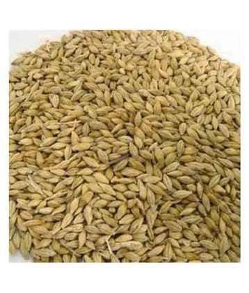 VINARGHYA PHARMACEUTICALS JAU / JAB / JAV / JAVA / YAVAM / BARLEY Raw Herbs 250 gm Pack Of 1