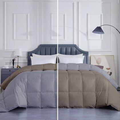 Razzai Down Alternative Soft Quilted 300 GSM All Weather Comforter |Silver/Beige-Single / Beige