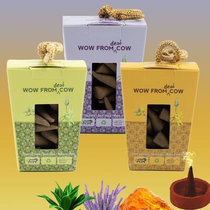 Nandi Panchgavya 100 Percent Cow Dung Kevda, Amber, Lavender Dhoop Cones (150 Pcs)