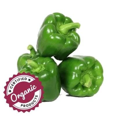 Organic Capsicum - Green (Shimla Mirch)
