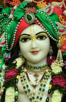 Shree Shyam Trader's