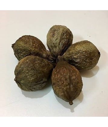 Nutrixia Food Samudraphal समुद्रफळ Barringtonia Acutangula Samudra Fhal\n 50 gm