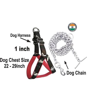 Smart Doggie - Multicolor Dog Combo (Medium)