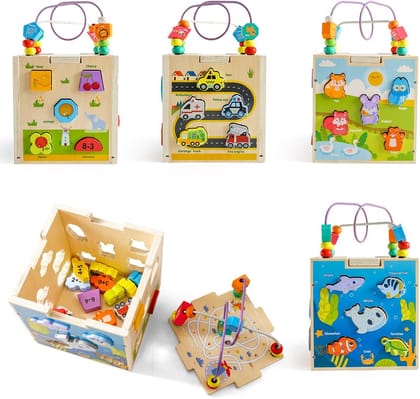 5 in 1 Wooden Montessory Activity Cube