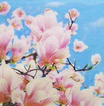 Decoupage Napkin / Tissue papers - GT1766