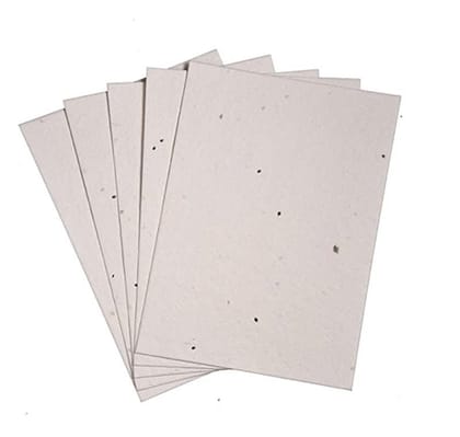 Kavi Basil Seed Paper (Pack of 10)