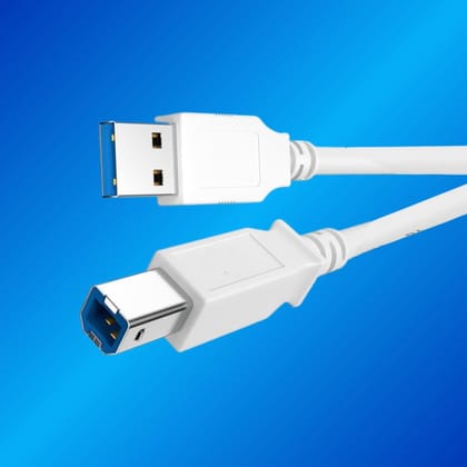 Champion USB A Male to B Male Printer Scanner Cable,Compatible with Canon, Brother, Dell, Epson, HP, Samsung, Lexmark, and Panasonic Printers and Scanners