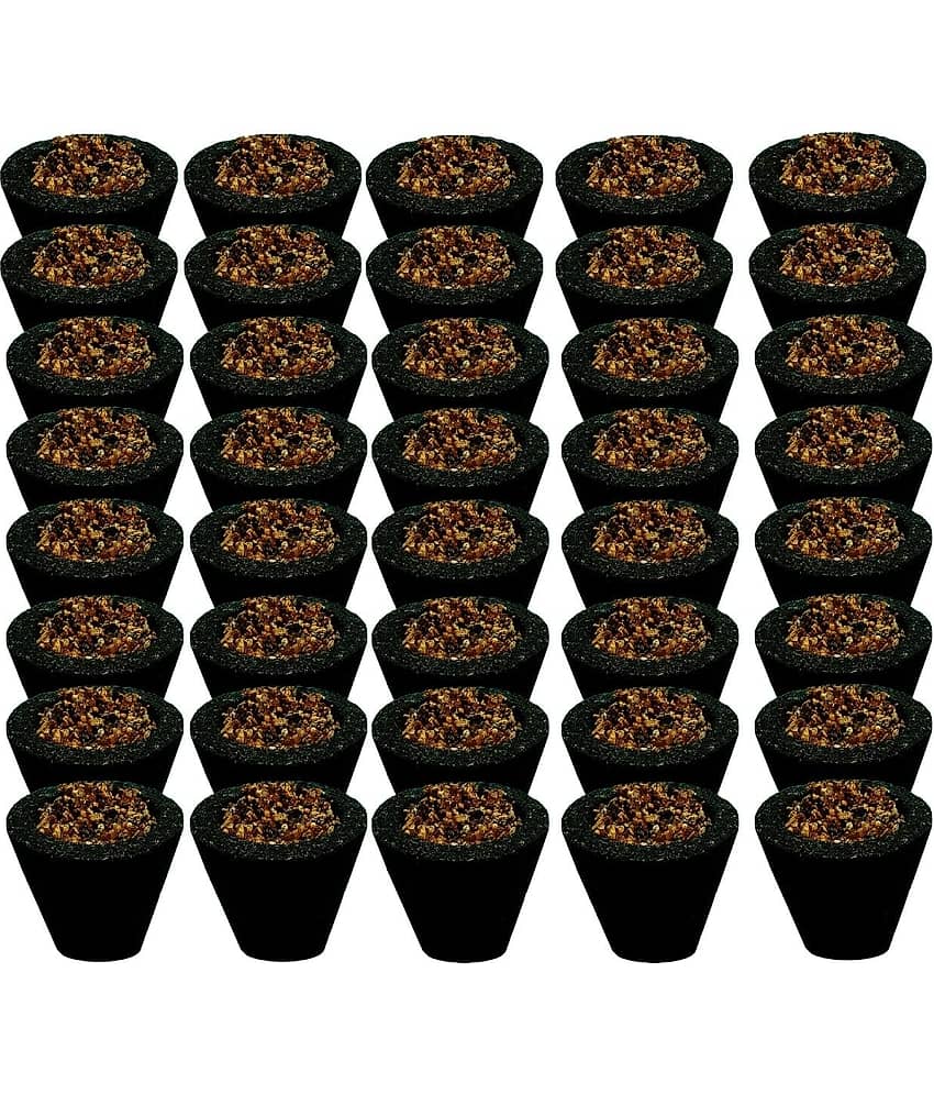 SHIVSHAKTI Dhoopia Loban Cups Dhoop for Pooja ( Pack of 1 )