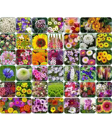 Aero Seeds 40 variety Flower seeds combo pack with instruction manual.