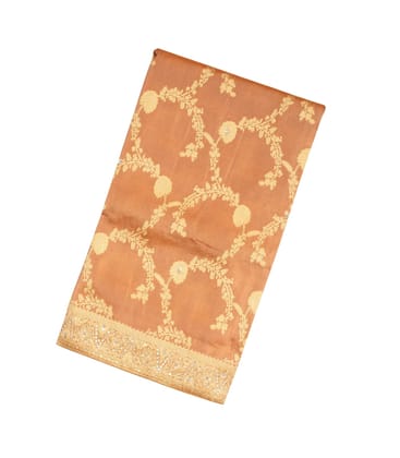 Peach Woven Tissue Saree With Brocaded & Embroidery Floral Motifs-EN1679-Peach