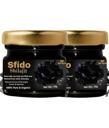 Health Ayurveda Powder 40 gm Pack of 2