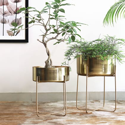 Brass Planter On Stand Broad-Medium