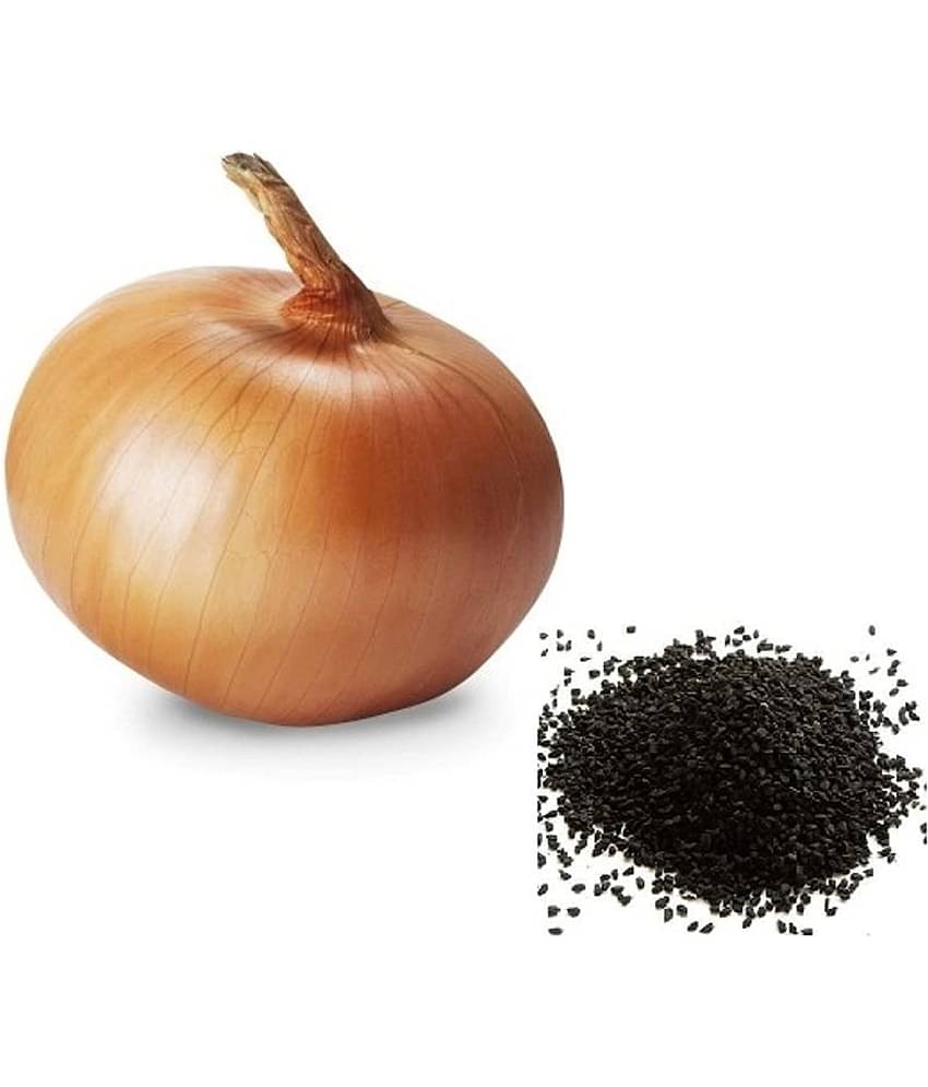 Onion Seeds, Kanda, Onions Ovalish Shaped Pyaaz Seeds - 400 Seeds