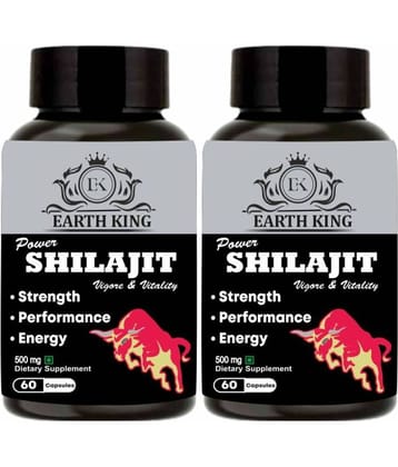 EARTH KING Power Shilajit/Shilajeet Capsule Support Strength, Stamina & Energy- 500mg 120 Capsules (Shilajit Pack of 2)