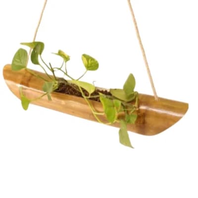Bamboo Hanging Planter 6 Inch