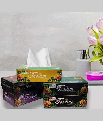 Texam 2 - Ply Facial Tissue Soft Pack – 100 Pulls (Pack of 5) | 100% Virgin Pulp | For Home, Office and Travel