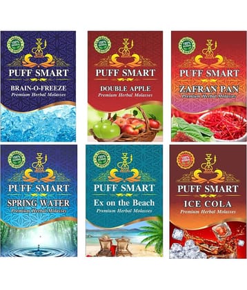 Puff Smart Hookah Flavour Combo Pack Of 6 (Brain-O-Freeze, Double Apple, Zafran Pan, Spring Water, Ex On the Beach, Ice Cola)